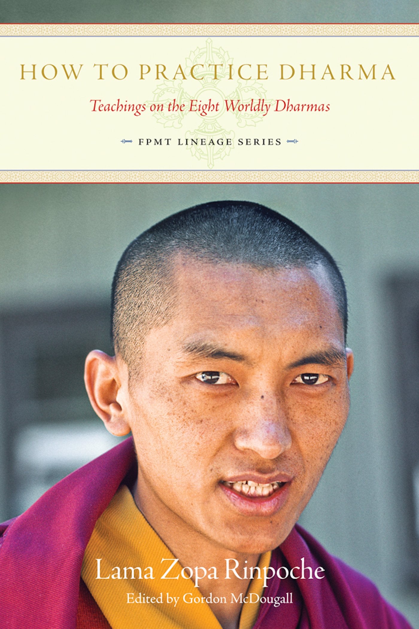 How to Practice Dharma: Teachings on the Eight Worldly Dharmas book
