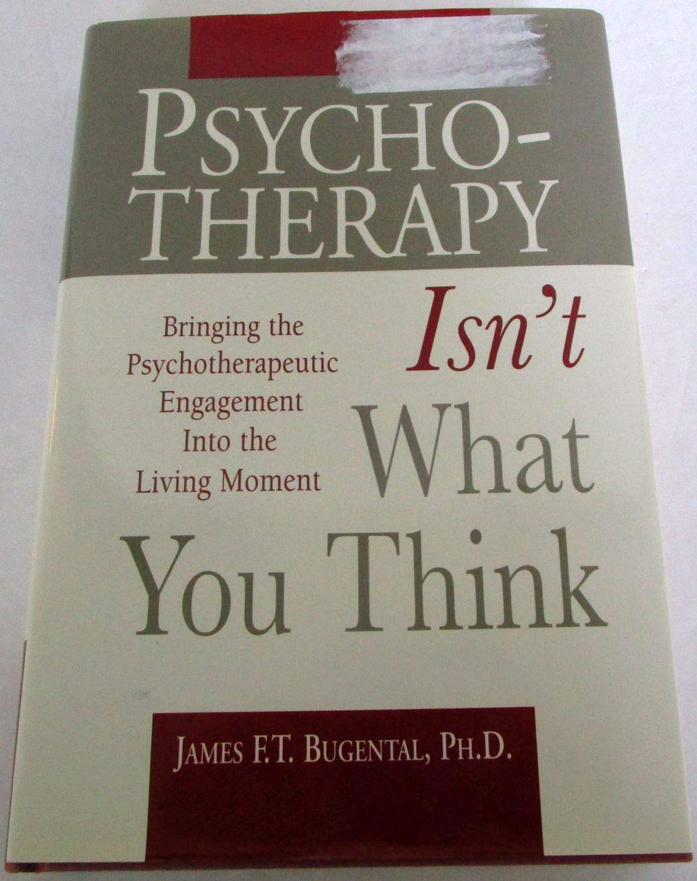 Psychotherapy Isn't What You Think: Bringing the Psychotherapeutic Engagement into the Living Moment Medicine