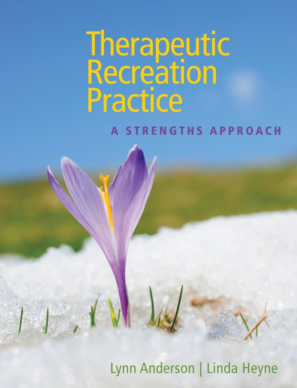 Therapeutic Recreation Practice: A Strengths Approach Leisure & Fun