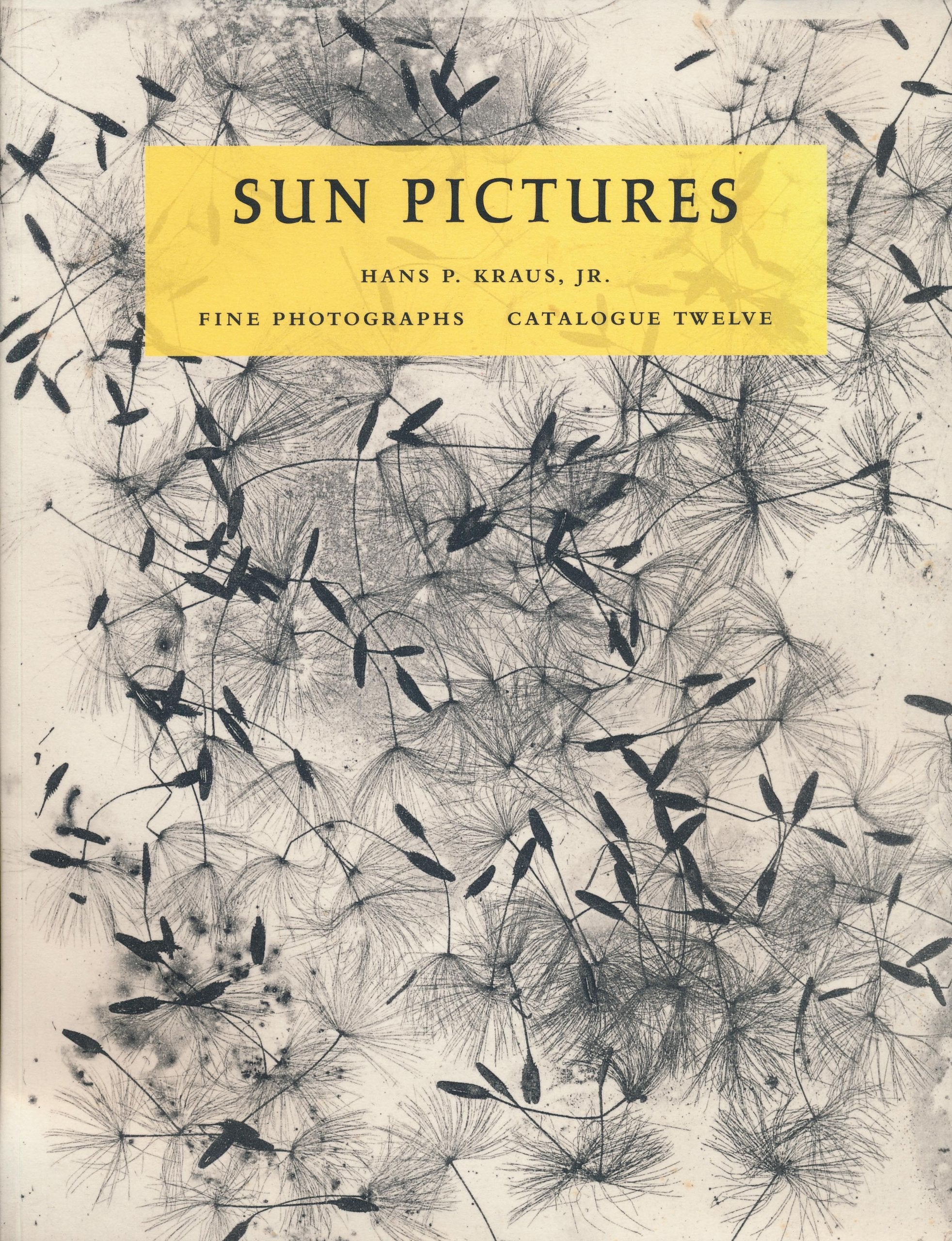 Sun Pictures. Catalogue Twelve: Talbot and Photogravure book
