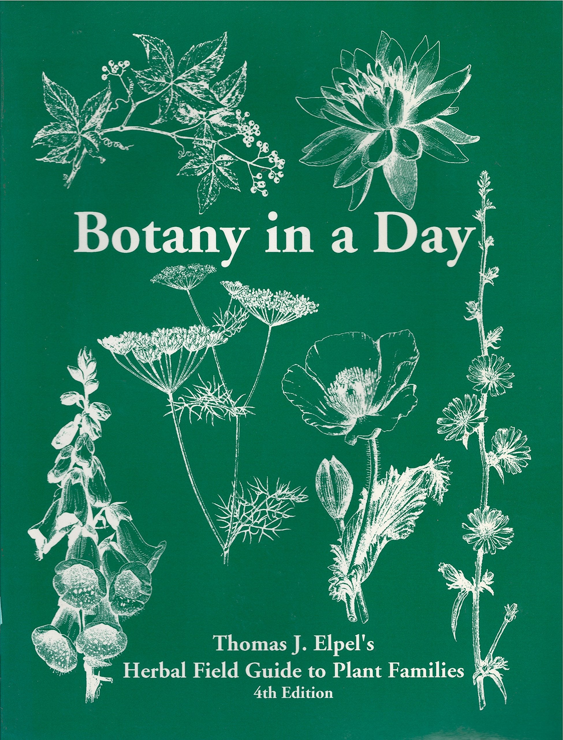 Botany in a Day: Thomas J. Epel's Herbal Field Guide to Plant Families Mathematics