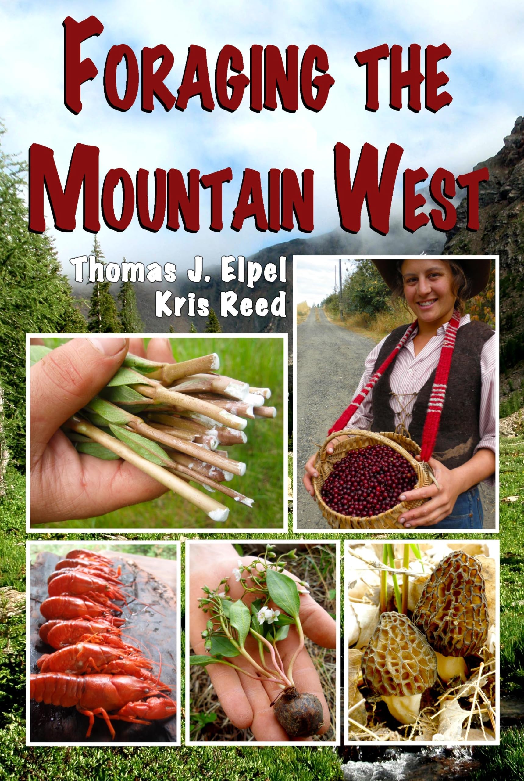 Foraging the Mountain West: Gourmet Edible Plants, Mushrooms, and Meat Mathematics
