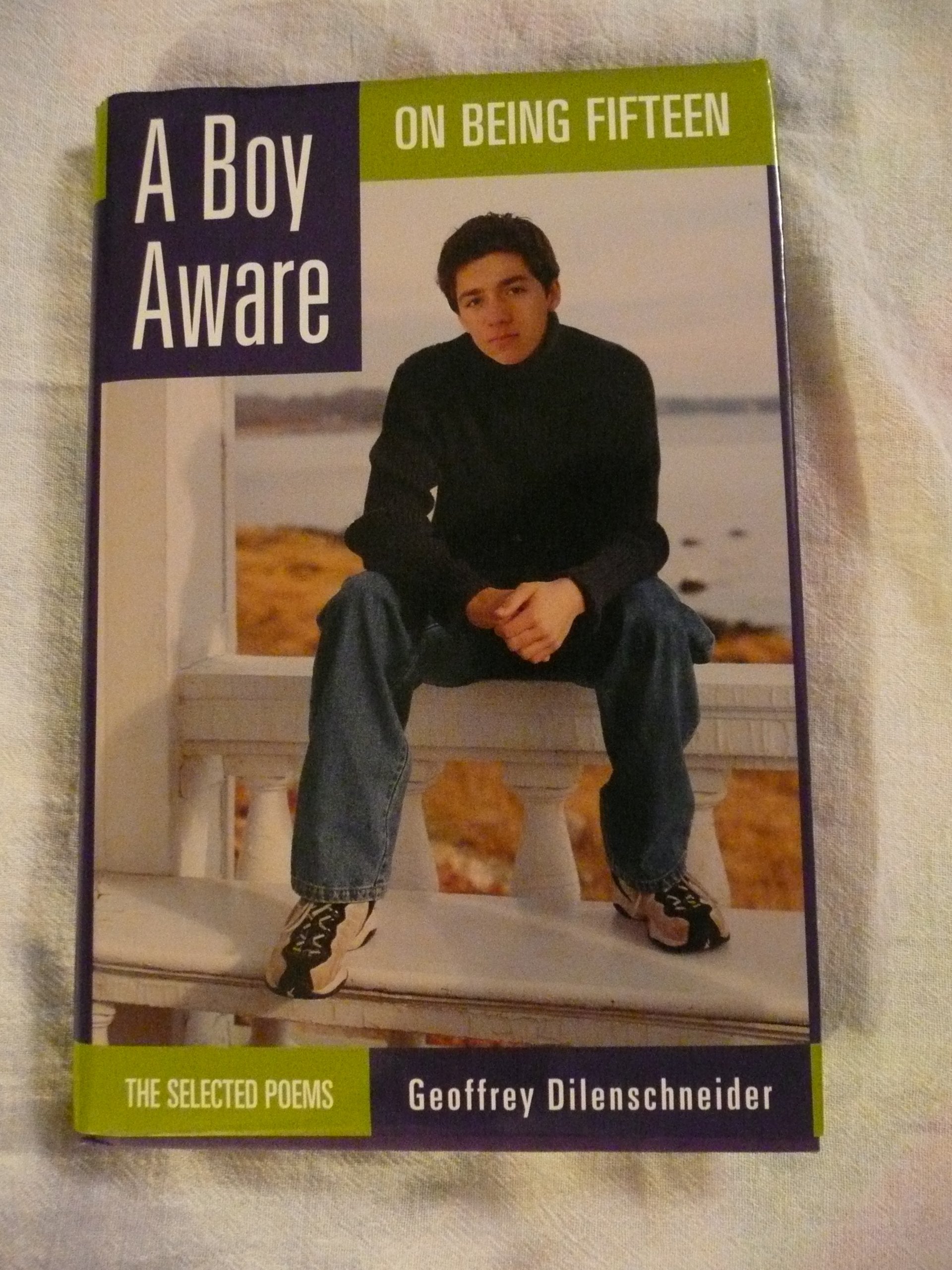 A Boy Aware: On Being Fifteen : The Selected Poems Poetry