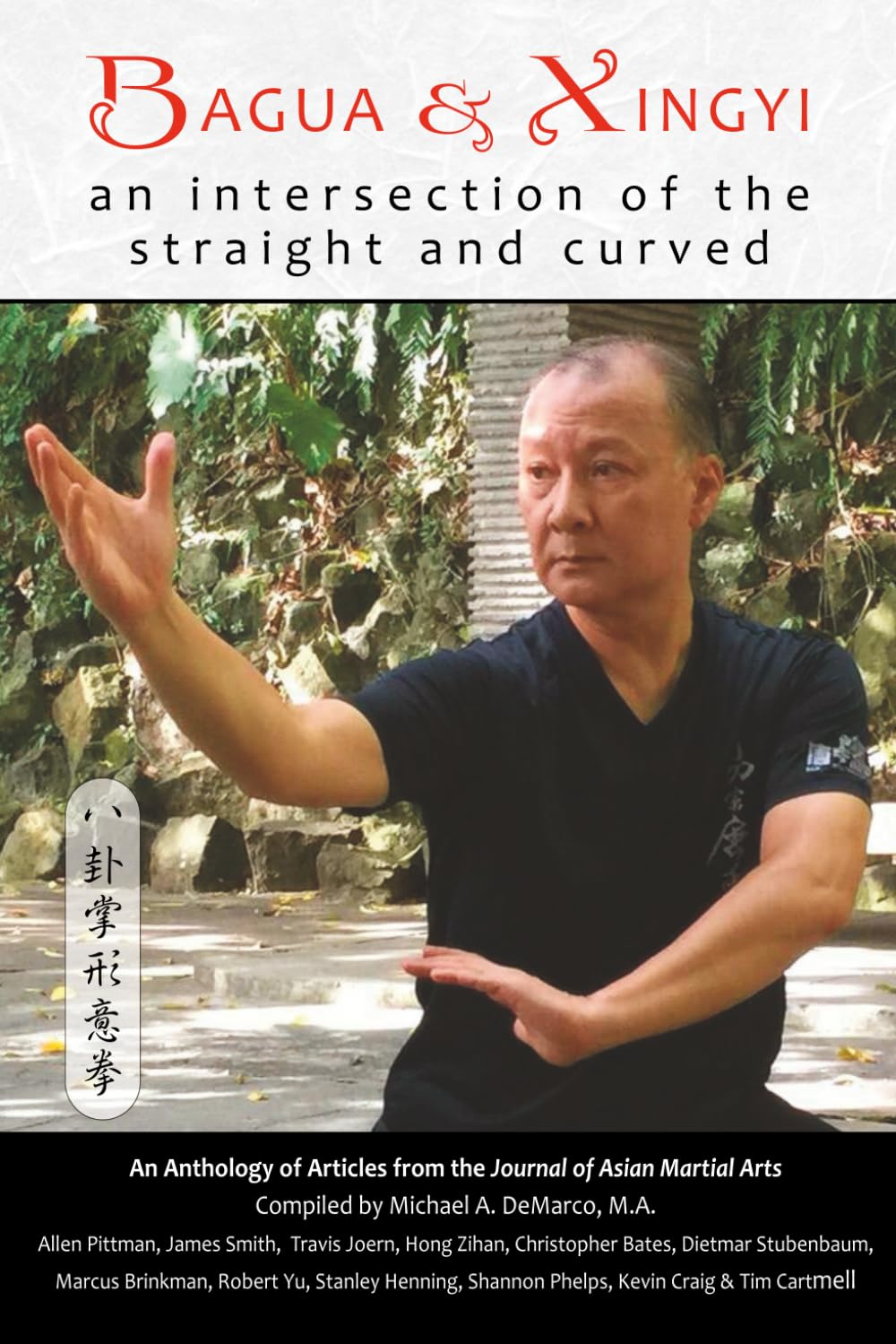 Bagua and Xingyi: An Intersection of the Straight and Curved book