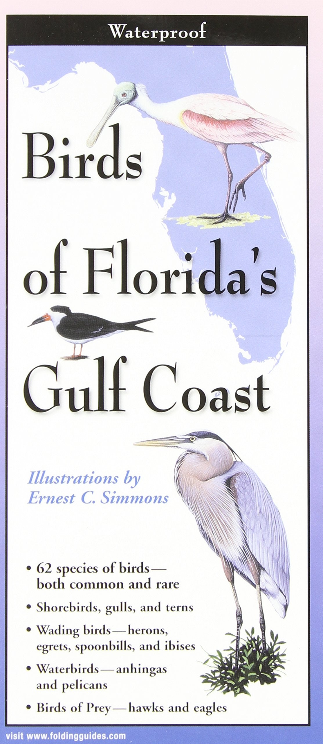 Birds of Florida's Gulf Coast (Foldingguides) Mathematics