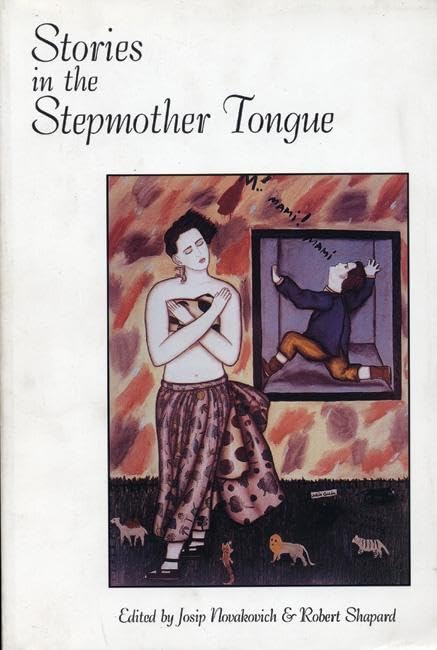 Stories in the Stepmother Tongue Contemporary literature