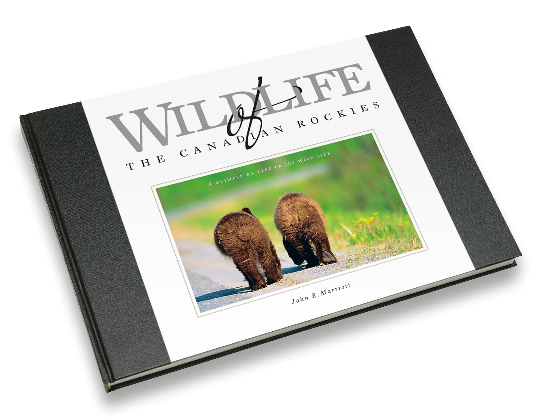 Wildlife of the Canadian Rockies: A Glimpse at Life on the Wild Side Books