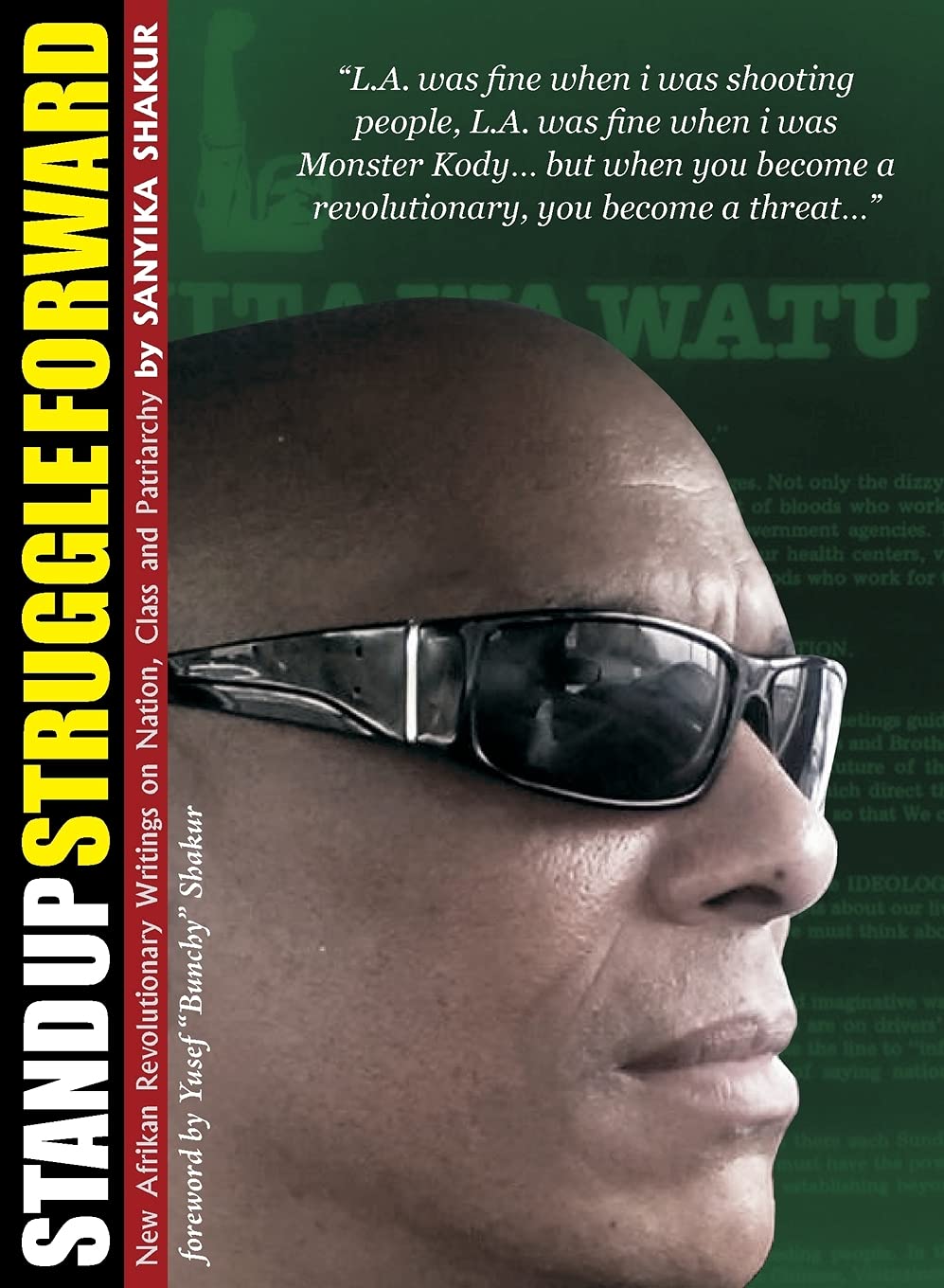 Stand up, Struggle Forward: New Afrikan Revolutionary Writings on Nation, Class and Patriarchy Books