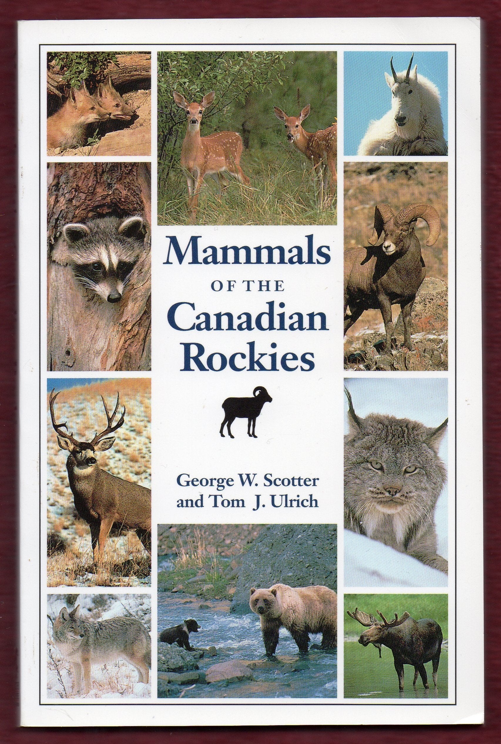 Mammals of the Canadian Rockies Mathematics