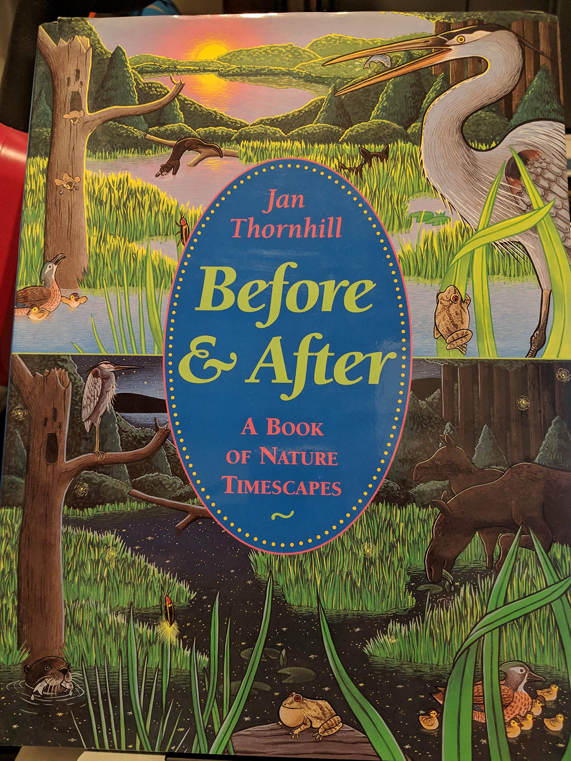 Before And After: A Book of Nature Timescapes Non-fiction