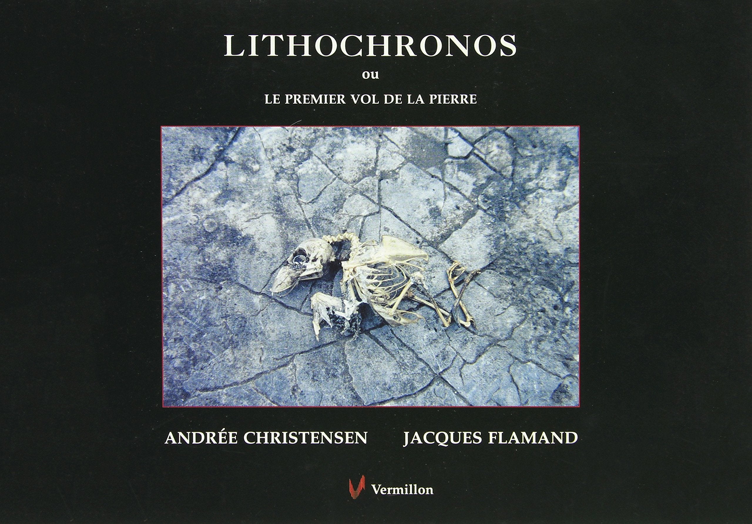 Lithochronos, ou, Le premier vol de la pierre: Autour de quinze photographies... Books
