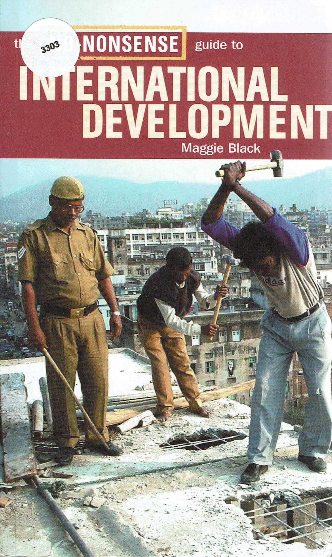 No Nonsense Guide to Internationl Development book