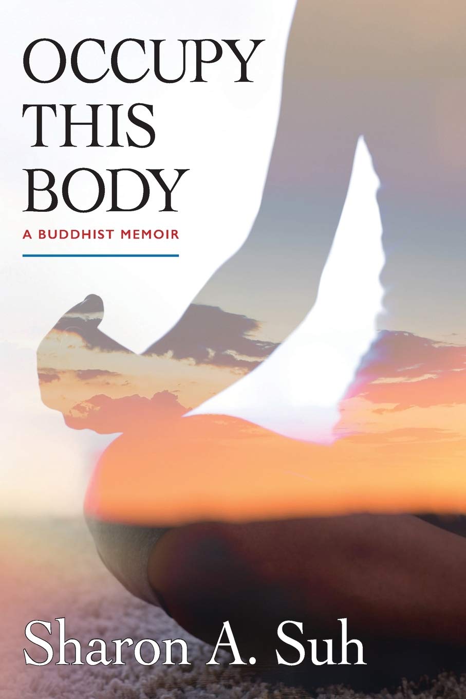 Occupy This Body: A Buddhist Memoir Social Sciences