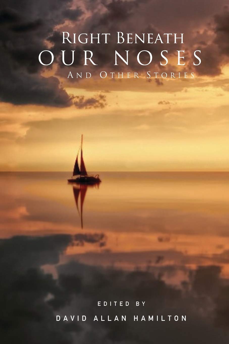 Right Beneath Our Noses And Other Stories Contemporary literature