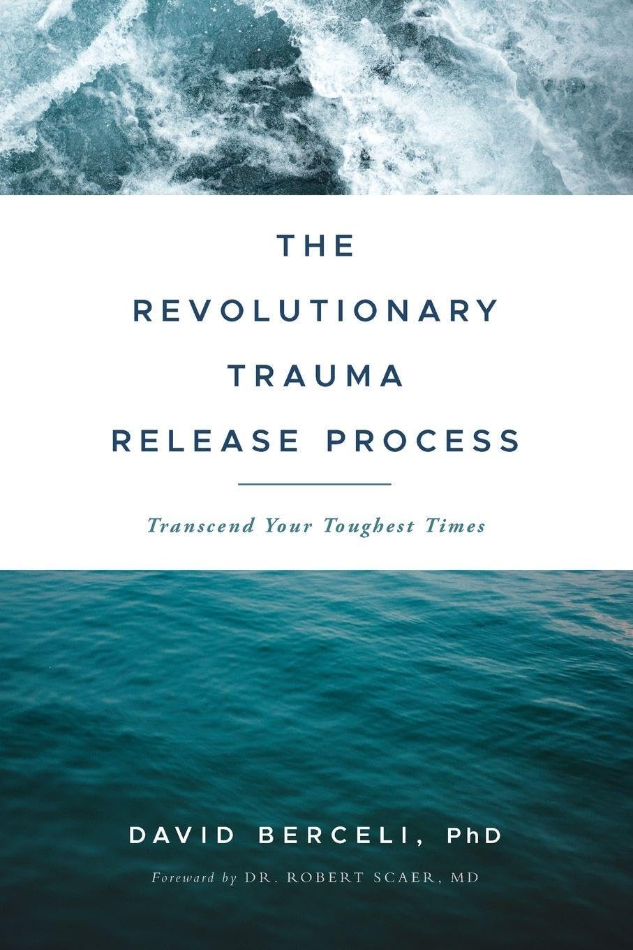 Product Image: The Revolutionary Trauma Release Process