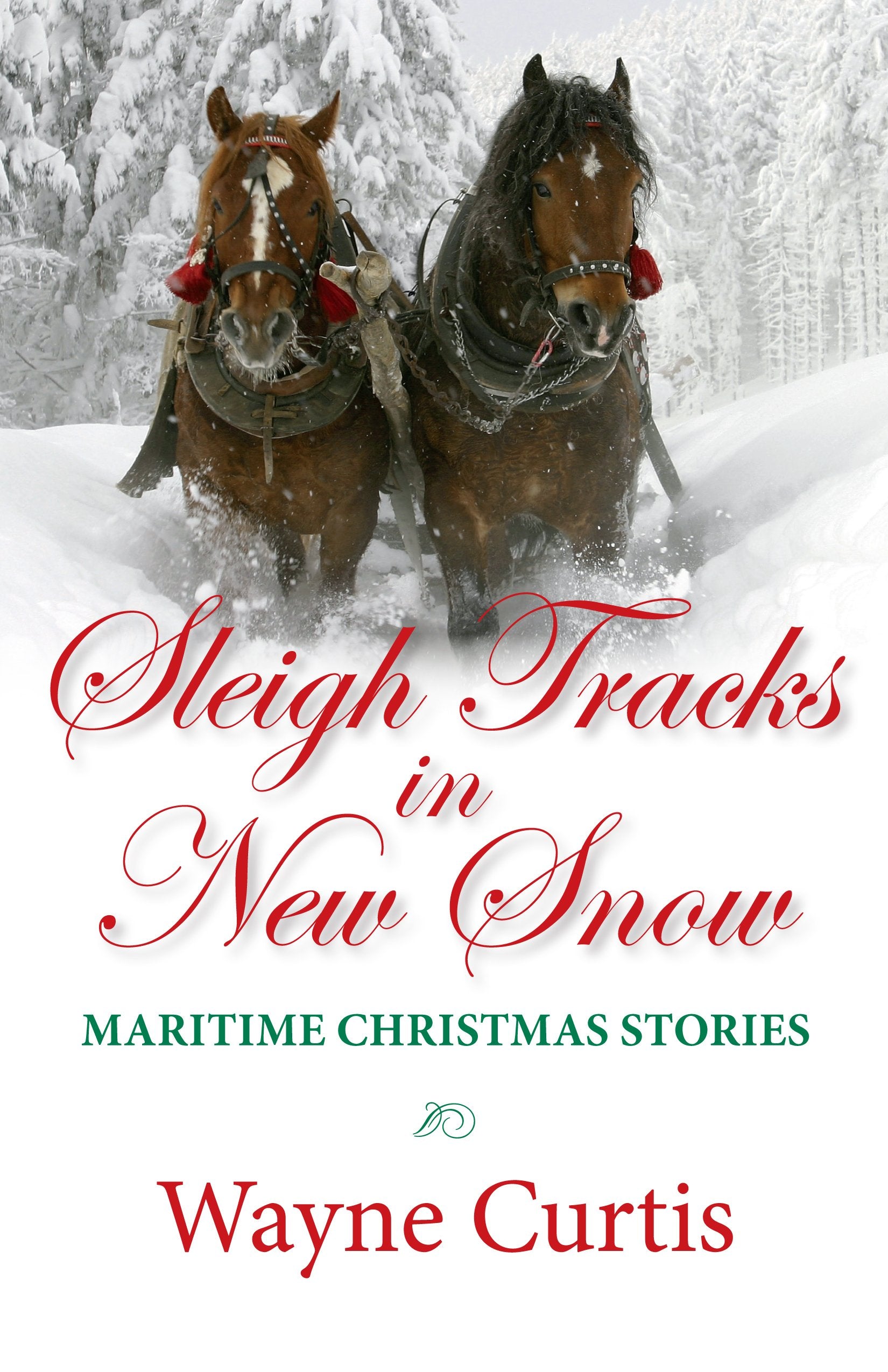 Sleigh Tracks in New Snow : Maritime Christmas Sto book