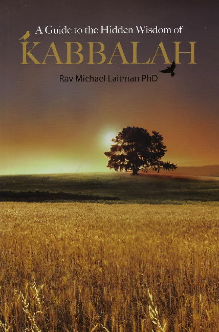 A Guide to the Hidden Wisdom of Kabbalah book