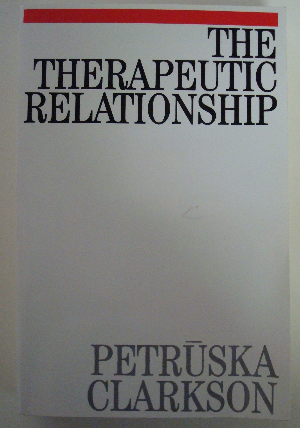 The Therapeutic Relationship: In Psychoanalysis, Counselling Psychology and Psychotherapy Psychology