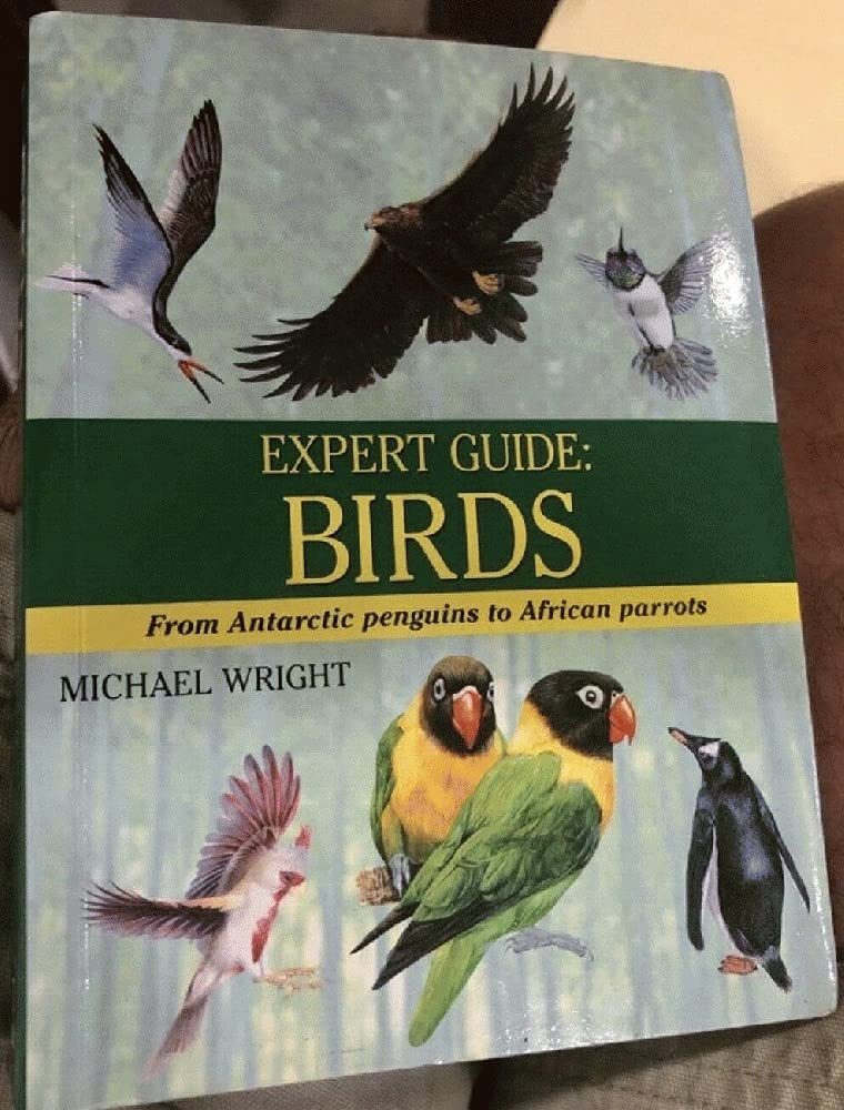 Expert Guide: Birds Books