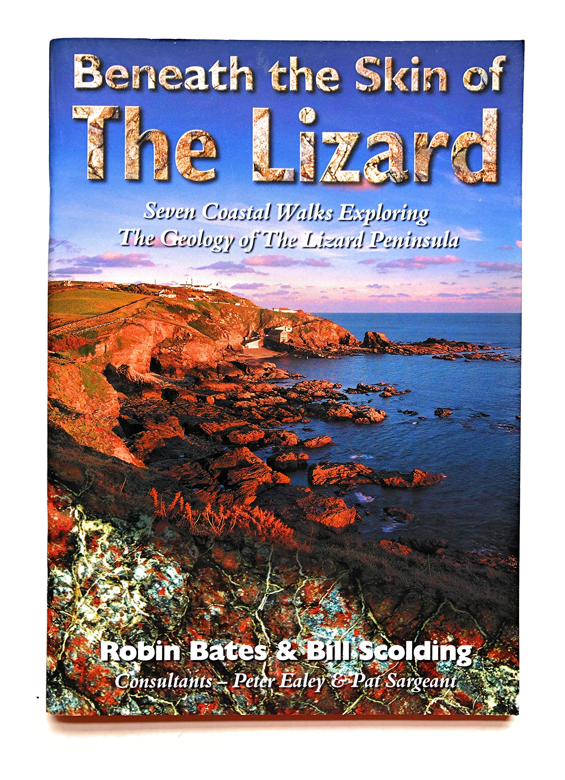 Beneath the Skin of The Lizard Books