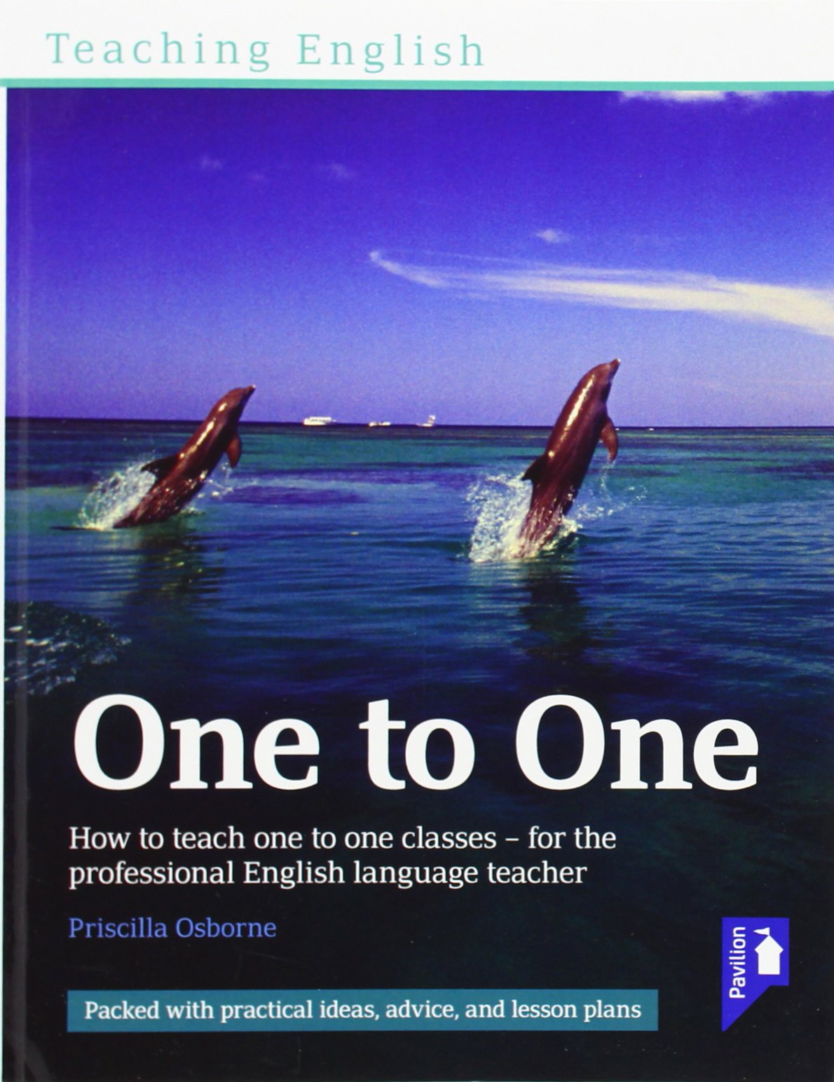Teaching English One to One: How to Teach One to One Classes - for the Professional English Language Teacher book