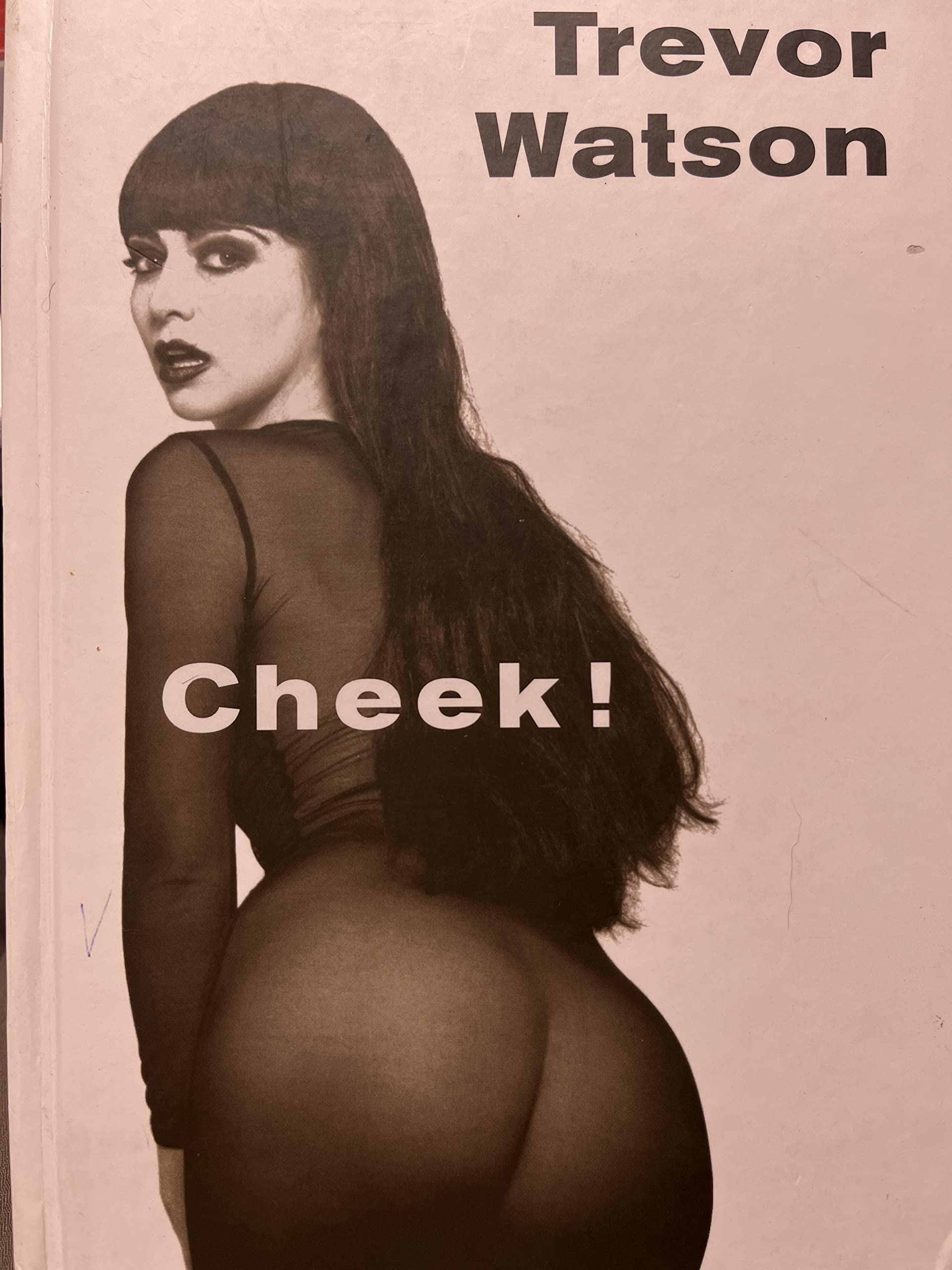 Cheek!: A Loving, Backward Gaze at That Roundest, Fleshiest, Most Curvaceous Part of the Female Body : The Bottom book