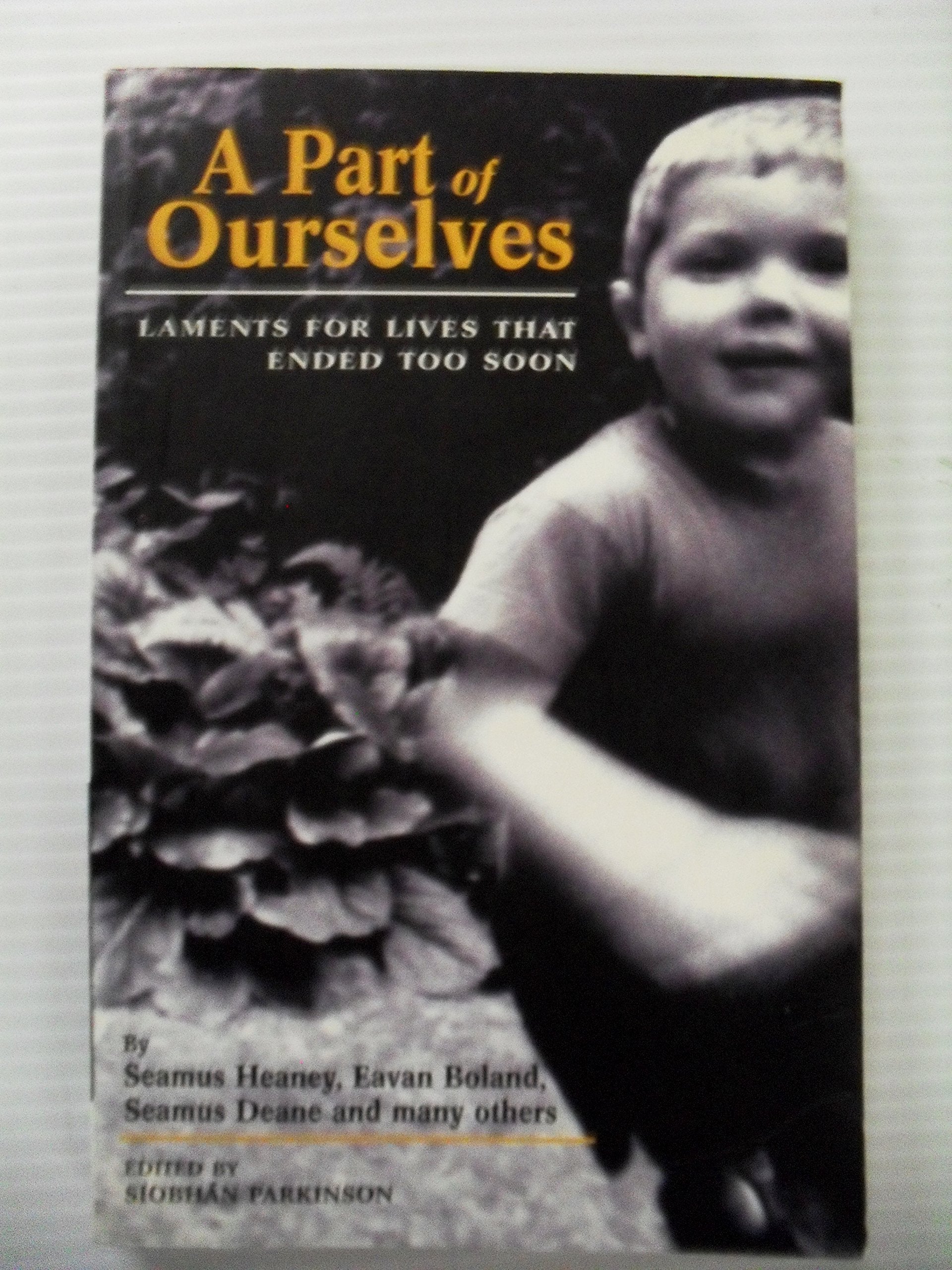 A Part of Ourselves: Laments for Lives That Ended Too Soon book