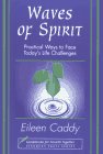 Waves of Spirit: Practical Ways to Face Today's Life Challenges: Practical Ways of Facing Today's Life Challenges Religion & Esotericism