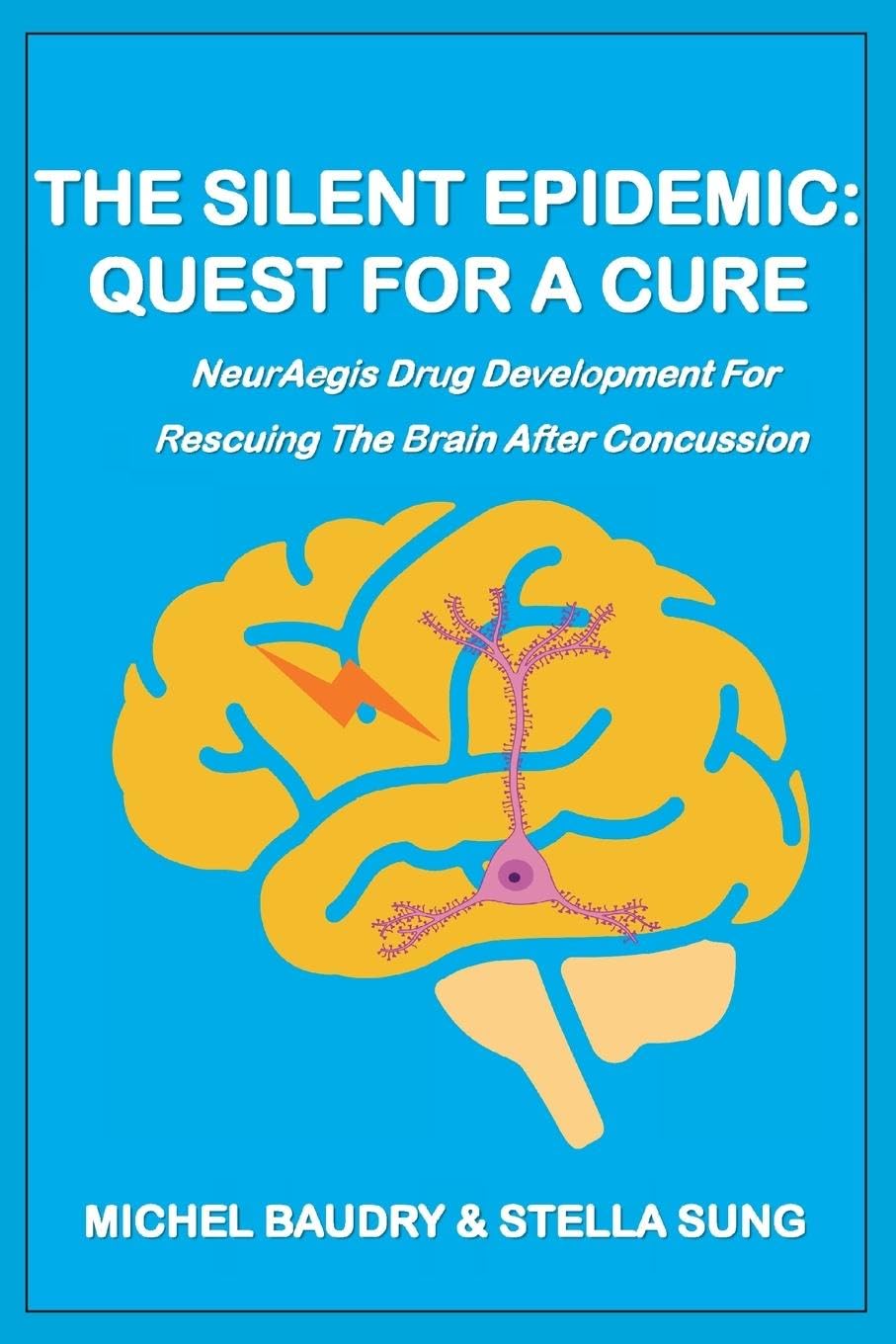 Product Image: The Silent Epidemic