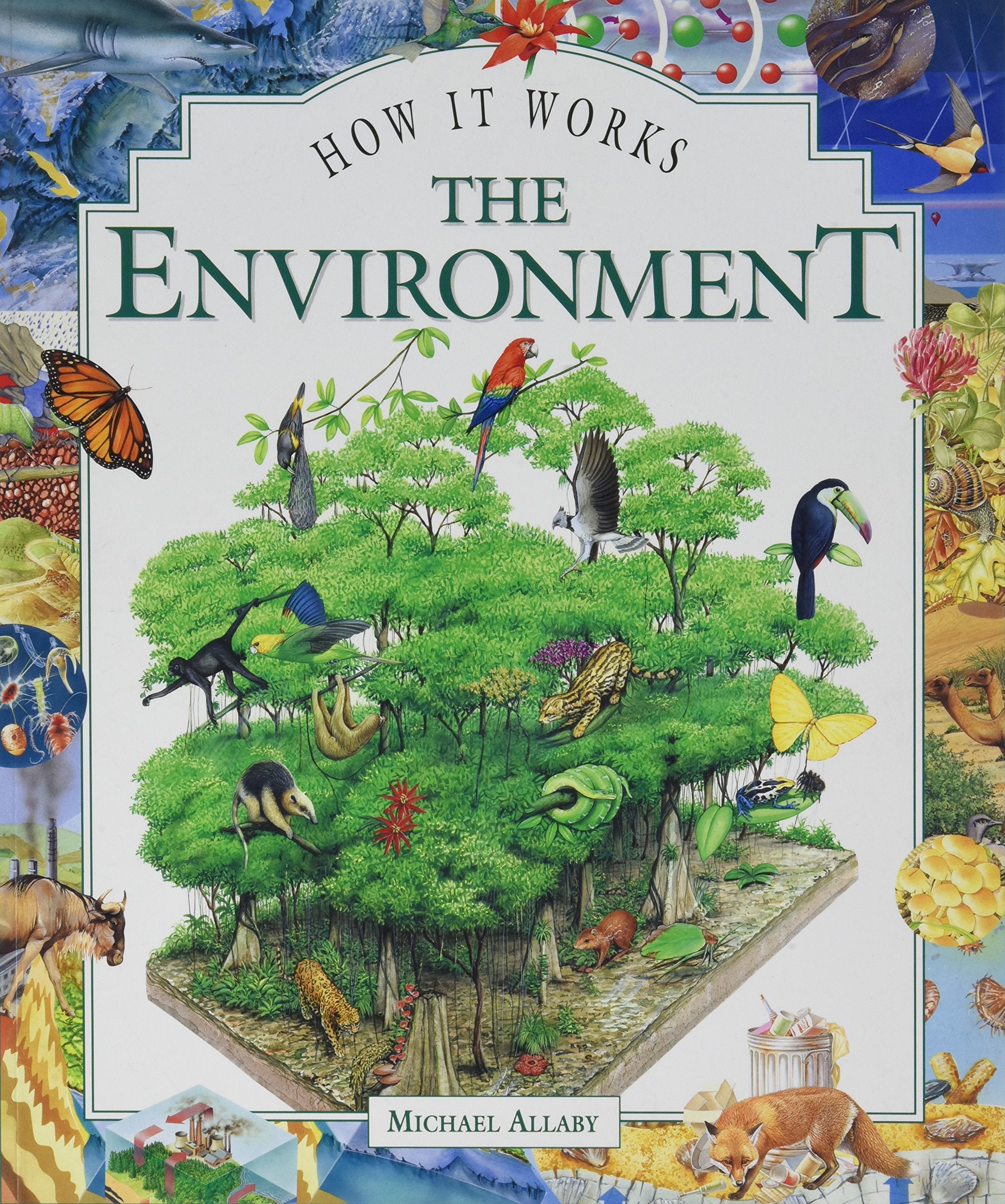 Product Image: The Environment, The (How it works)