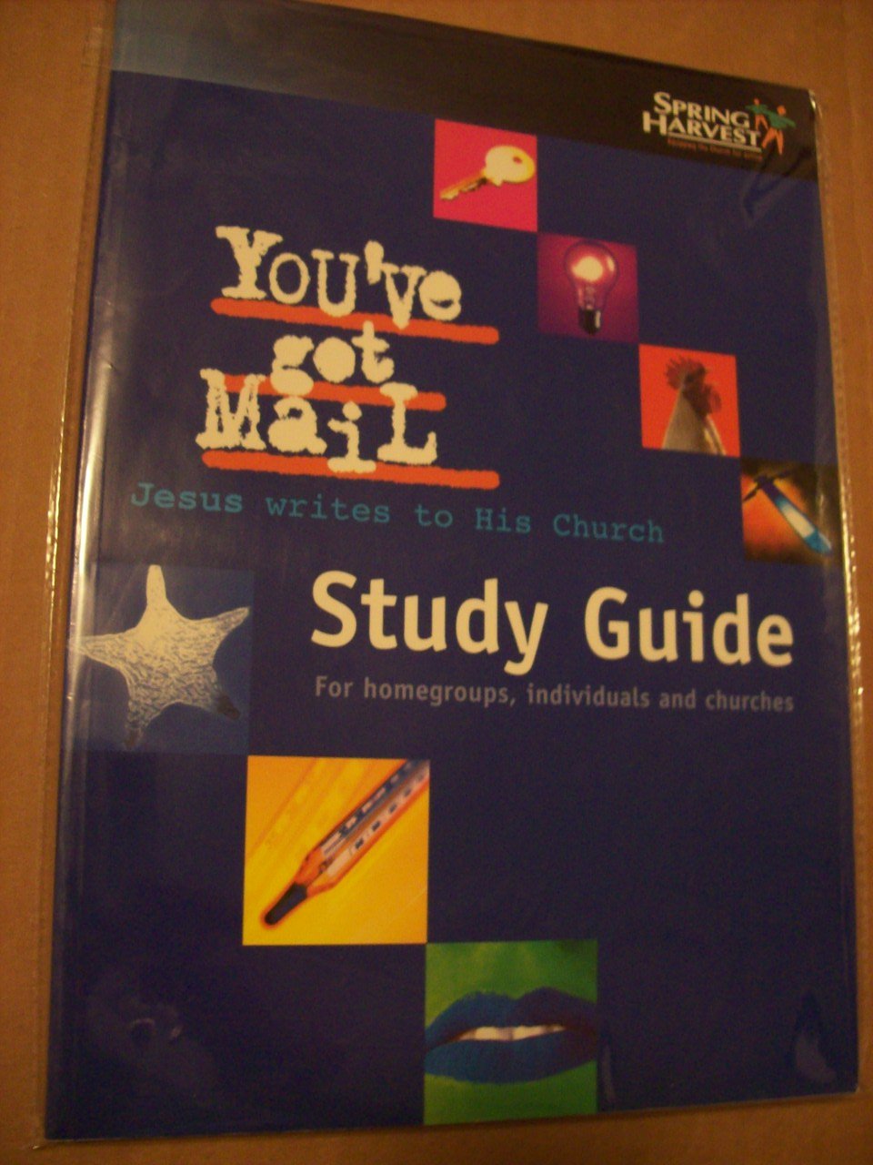 You've Got Mail, Jesus Writes to His Church: Study Guide for Homegroups, Individuals and Churches book