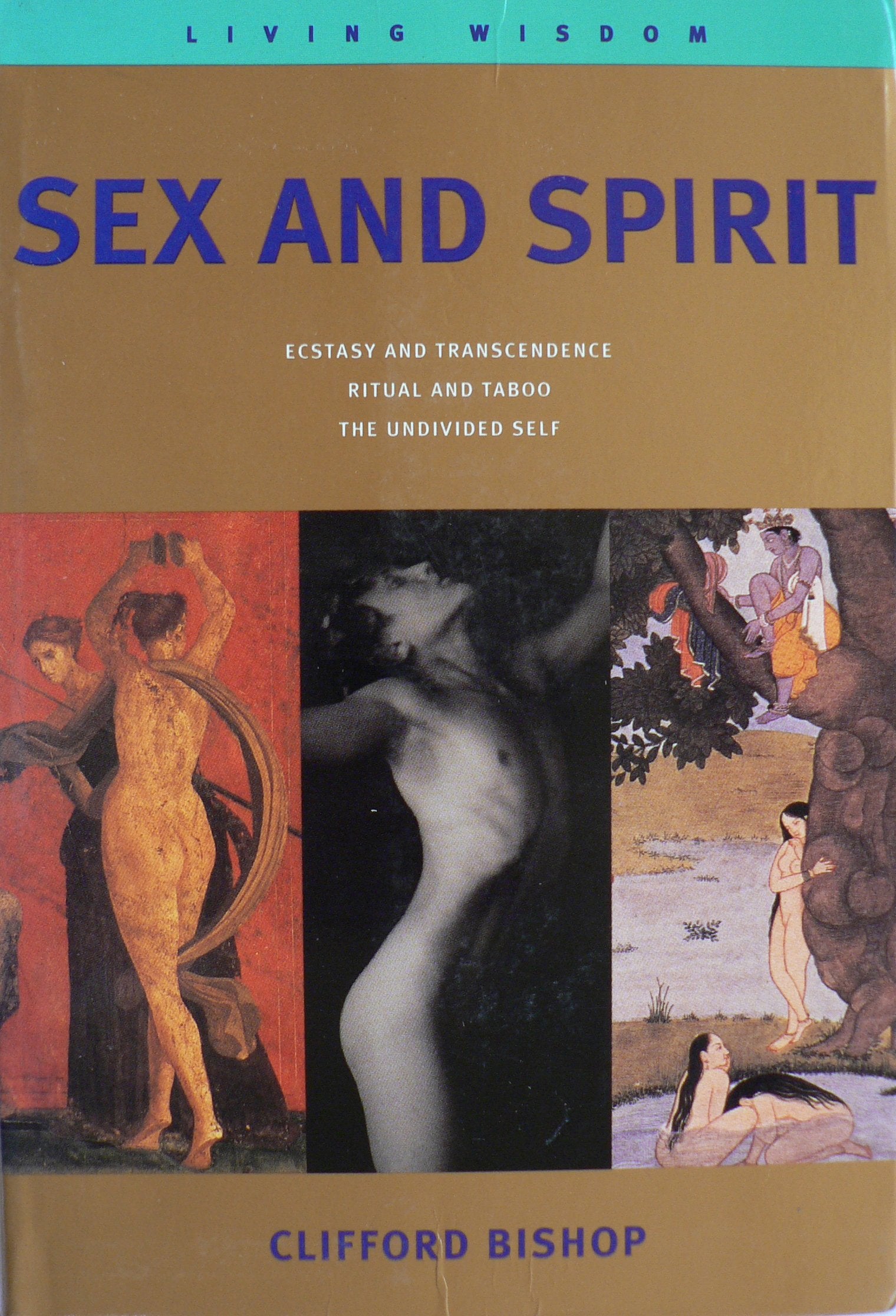 Sex & Spirit Living Wisdom book