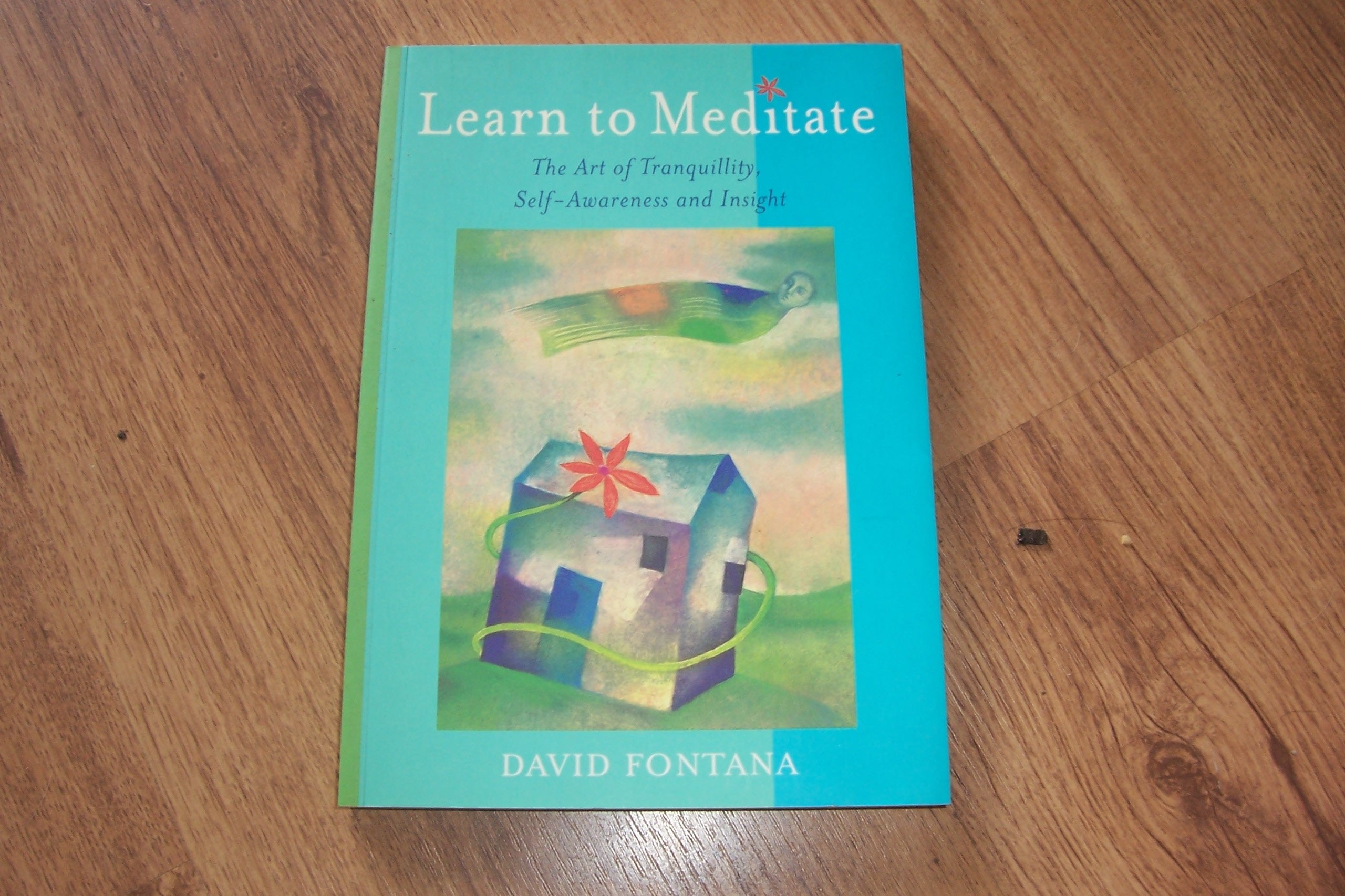 Learn to Meditate: The Art of Tranquillity, Self-Awareness and Insight Lifestyle
