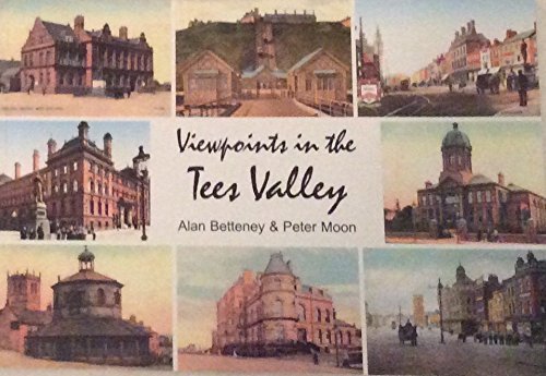 Product Image: Viewpoints in the Tees Valley: Past and Present