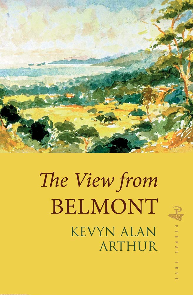 View from Belmont book