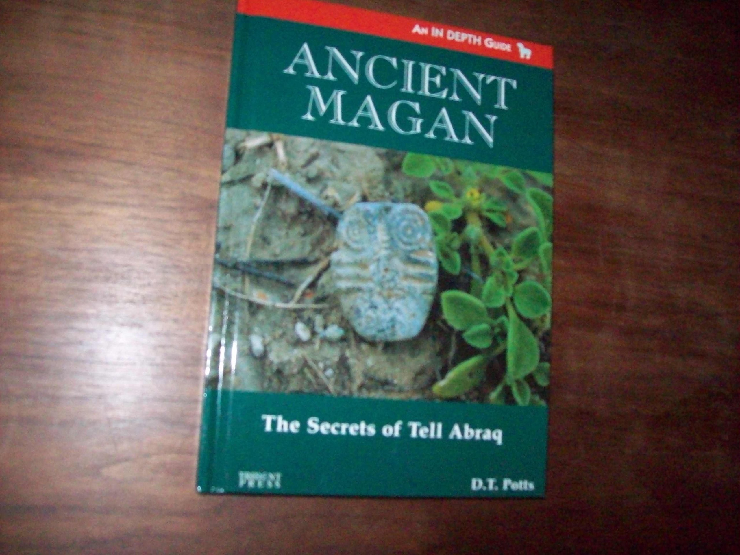 Ancient Magan: The Secrets of Tell Abraq (In depth guides) Social Sciences
