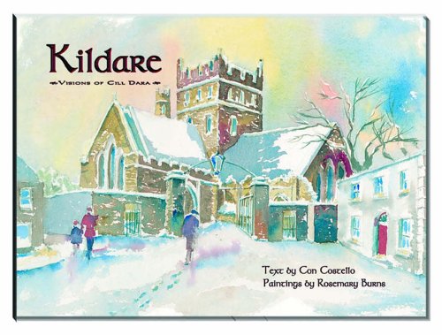 Kildare: Visions of Cill Dara Film, Art & Culture