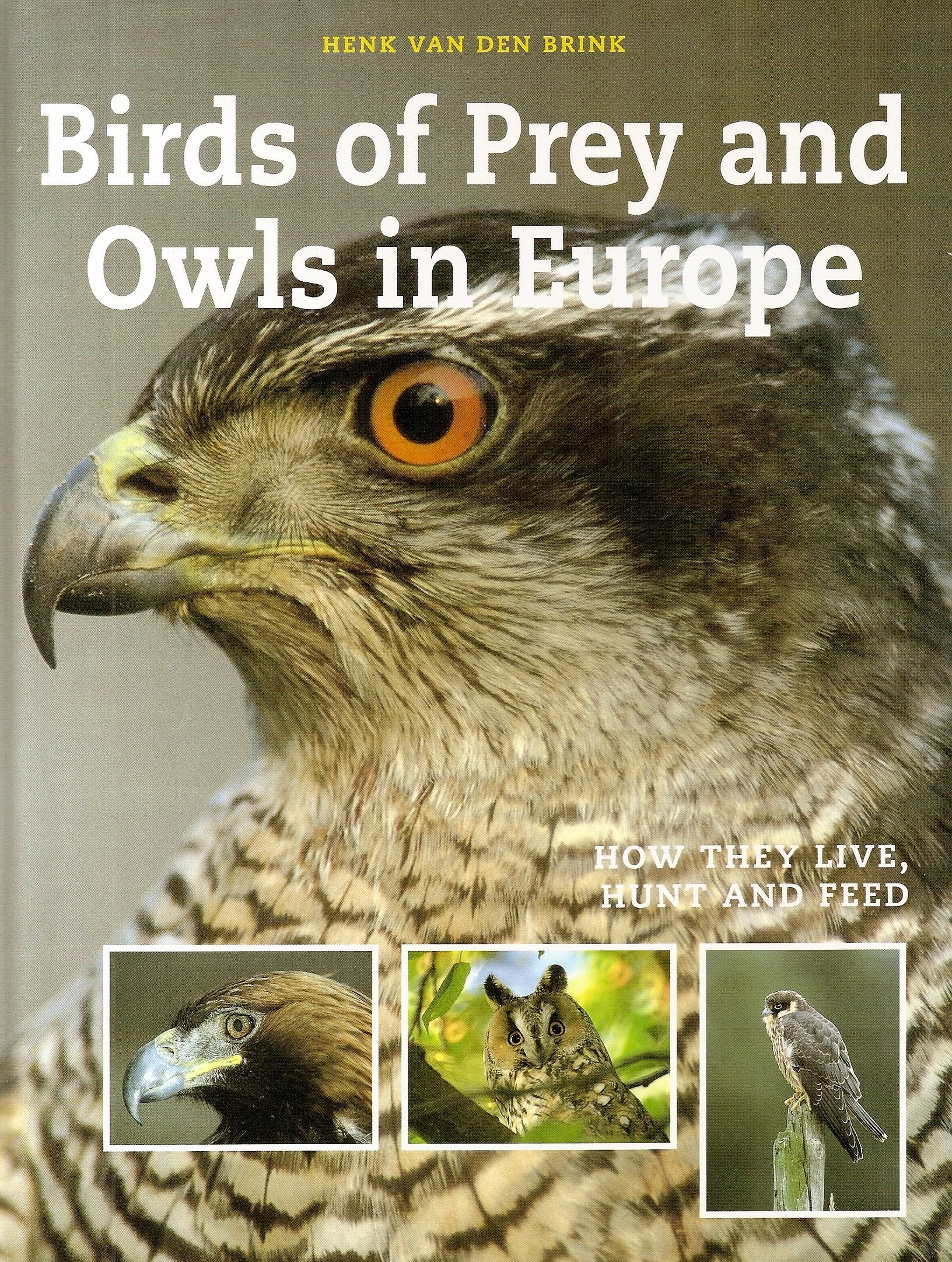 Birds of Prey Mathematics