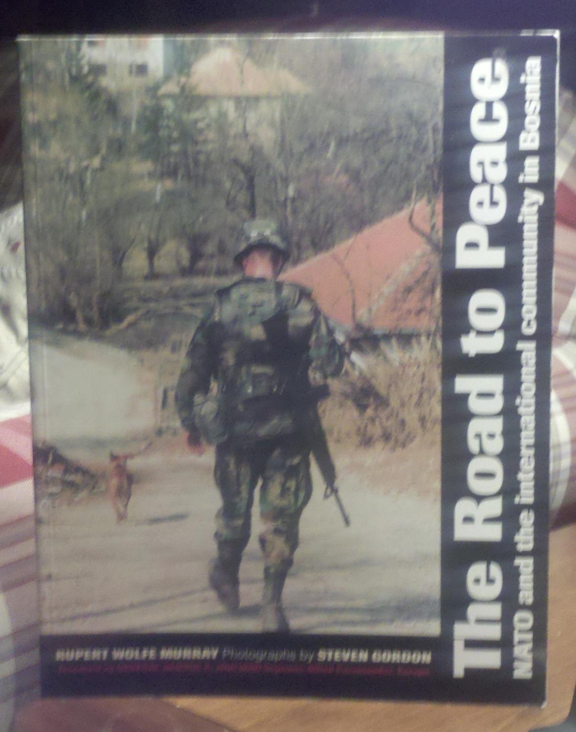 The Road to Peace: NATO and the International Community in Bosnia book
