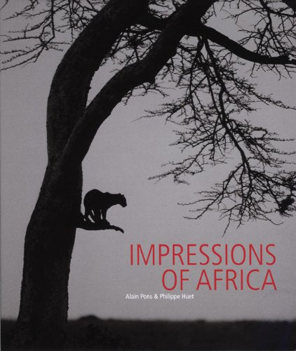 Impressions of Africa Mathematics
