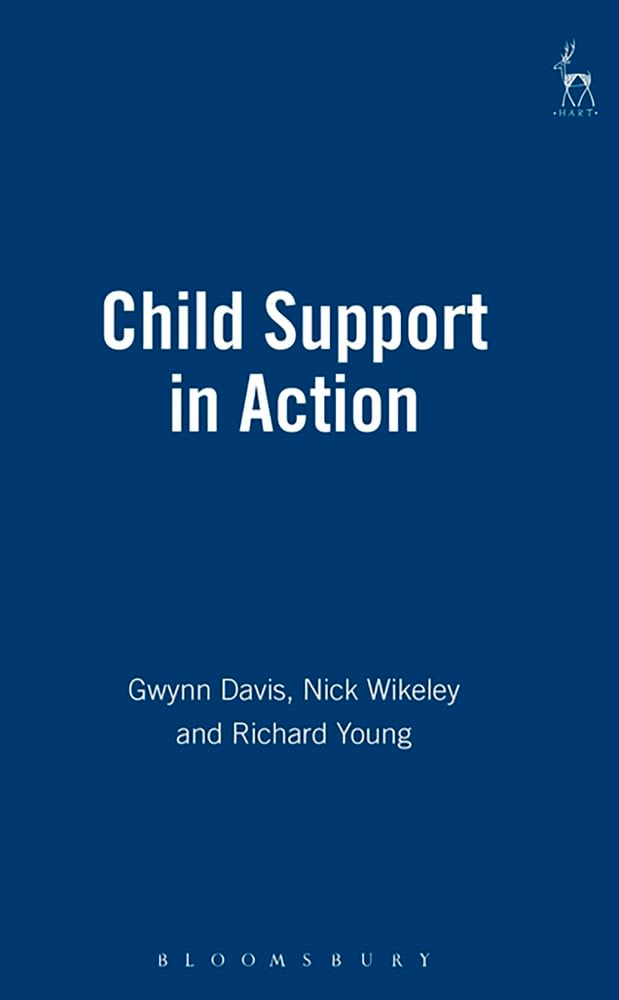 Product Image: Child Support in Action