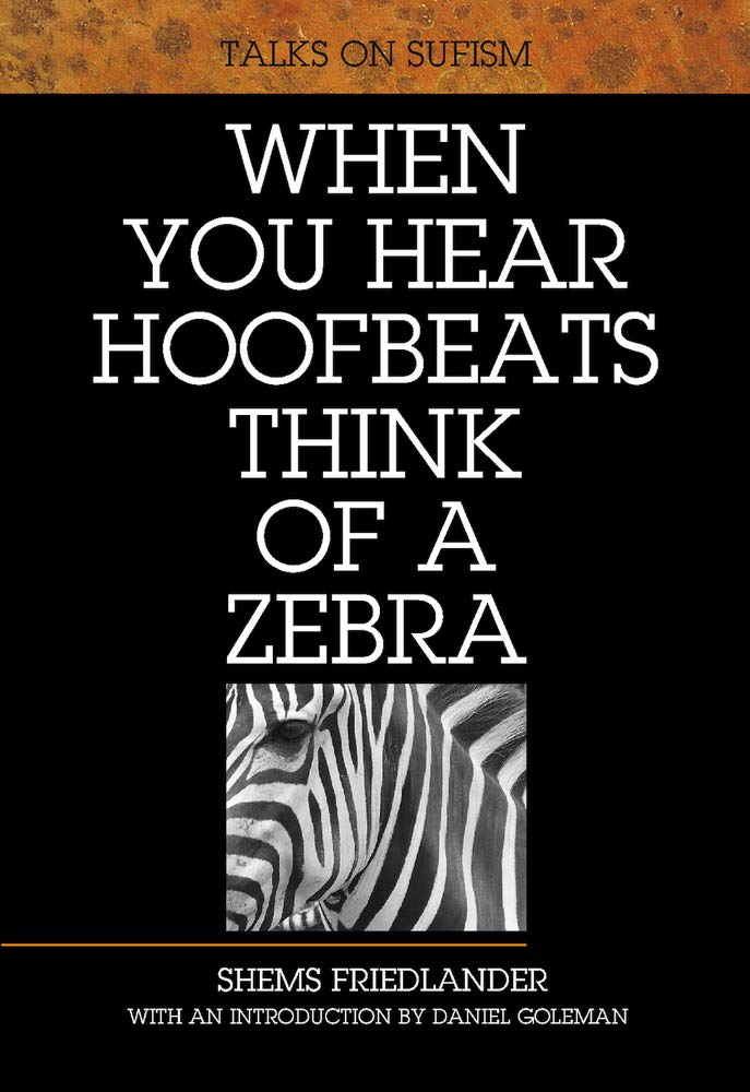 When You Hear Hoofbeats Think of a Zebra: Talks on Sufism Social Sciences