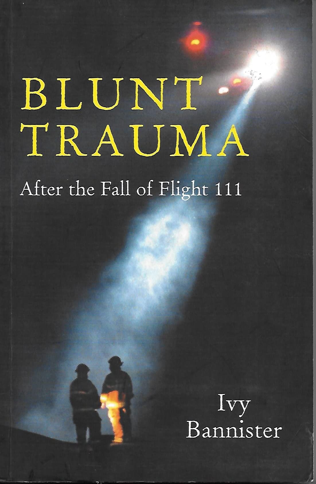 Blunt Trauma: After the Fall of Flight 111 book