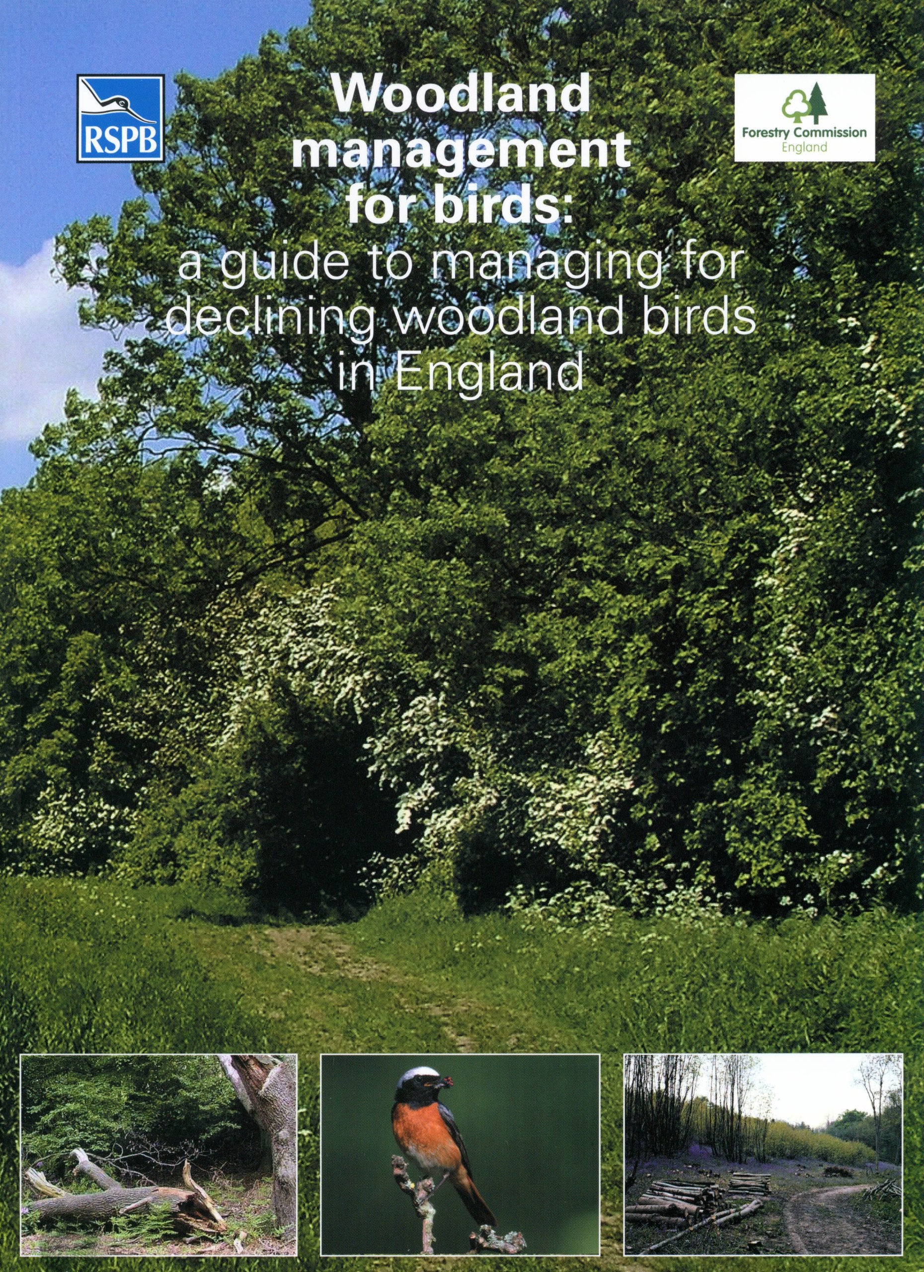 Woodland Management for Birds: A Guide to Managing for Declining Woodland Birds in England (RSPB Management Guides) Business & Technology