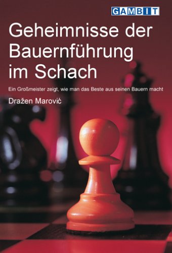 Geheimnisse der Bauernführung im Schach Leisure & Fun