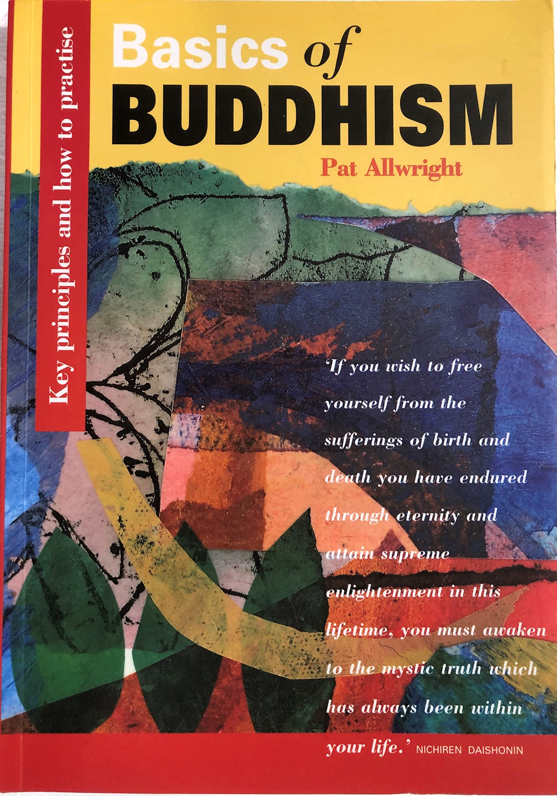 Basics of Buddhism : Key Principles and How to Pra Pb Issue Books