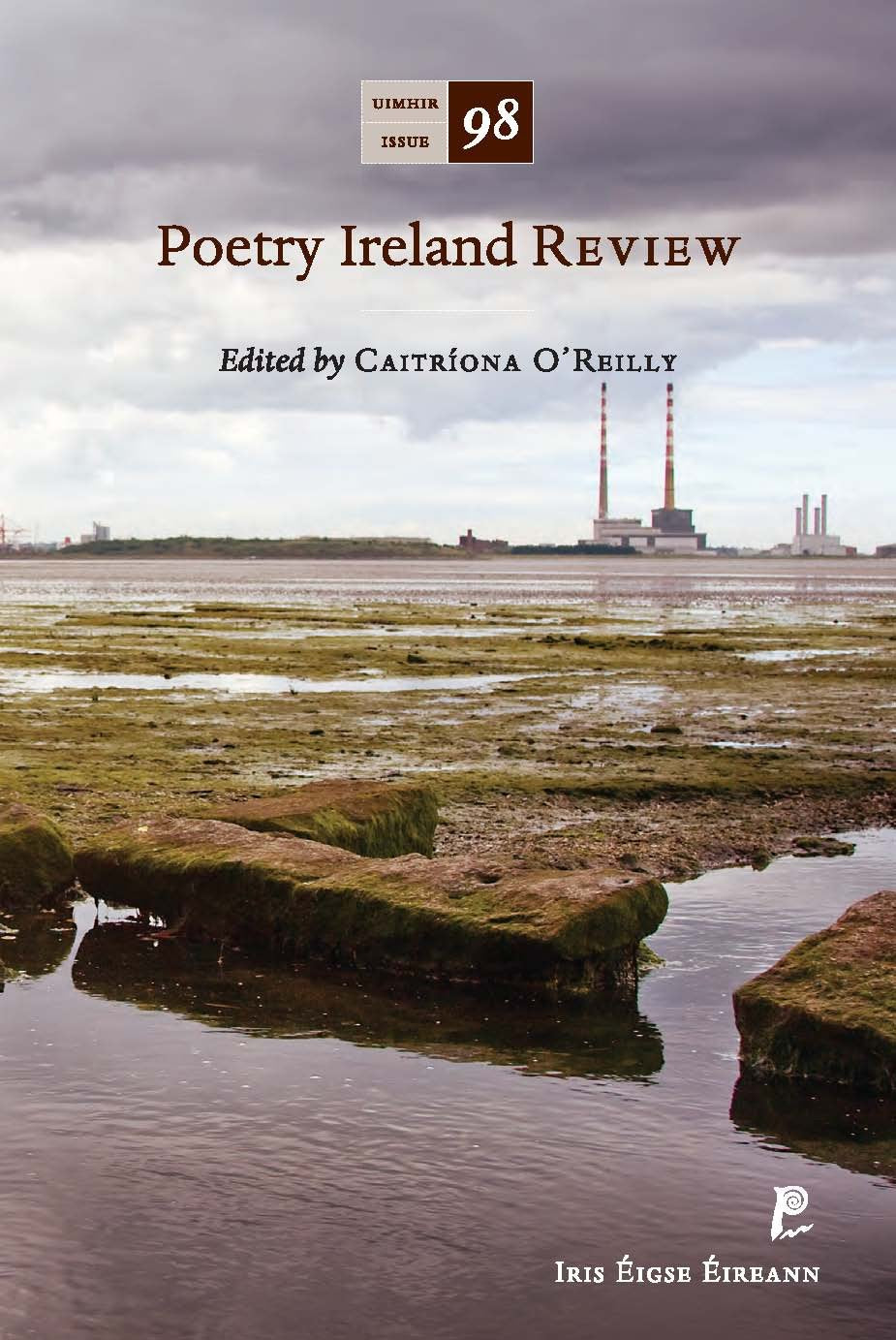 Poetry Ireland Review 98 Books