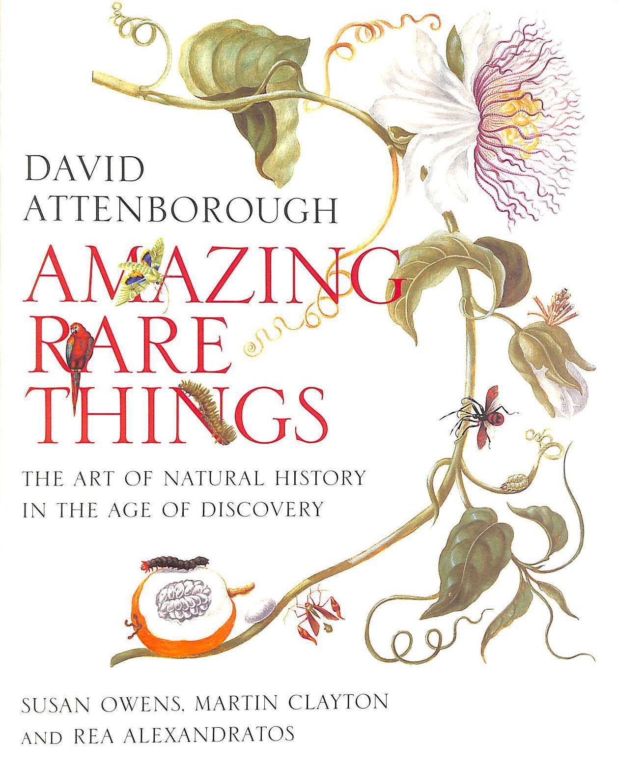 AMAZING RARE THINGS: THE ART OF NATURAL HISTORY IN THE AGE OF DISCOVERY Books