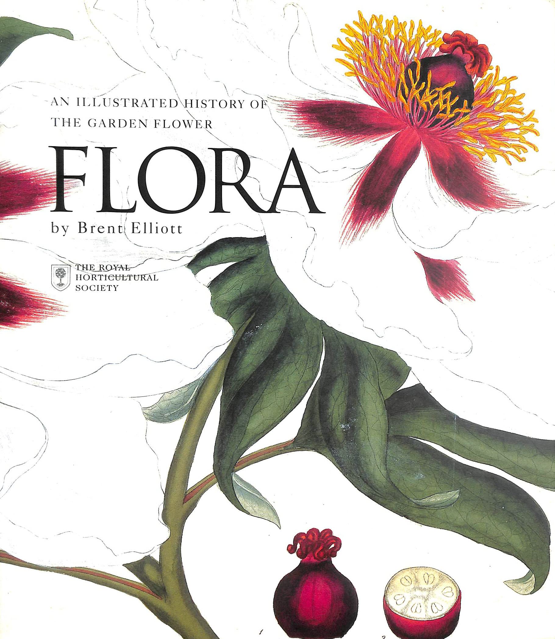 Flora An Illustrated History of the Garden Flower Mathematics