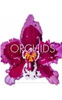 Orchids: The Fine Art of Cultivation Garden & Plants